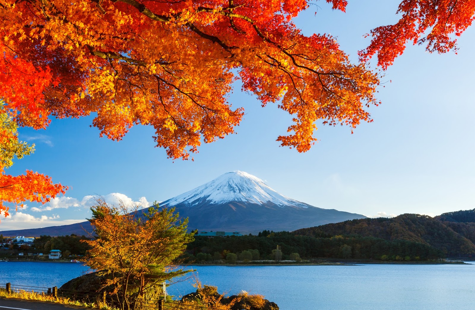 Nét đẹp mùa thu Nhật Bản